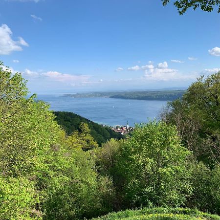 Gasthaus Traube, Ludwigshafen, Bodensee, Seenah Gelegen Бодман-Людвигсхафен Экстерьер фото