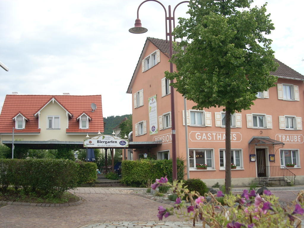 Gasthaus Traube, Ludwigshafen, Bodensee, Seenah Gelegen Бодман-Людвигсхафен Экстерьер фото